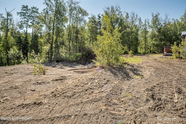 3521 N Caribou St, Wasilla, AK 99654 - view of local wilderness