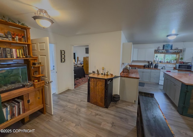 1245 N Miller Cir, Houston, AK 99623 - kitchen featuring electric stove, stainless steel microwave, butcher block counters, and light wood-style flooring