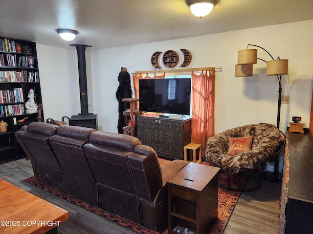 1245 N Miller Cir, Houston, AK 99623 - living room with wood finished floors and a wood stove