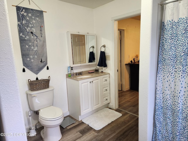 1245 N Miller Cir, Houston, AK 99623 - full bath featuring wood finished floors, vanity, and a shower with curtain