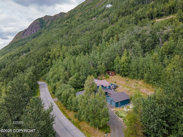 22035 Upper Canyon Dr, Eagle River, AK 99577 - photo 79