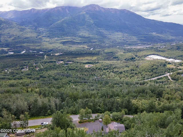 22035 Upper Canyon Dr, Eagle River, AK 99577 - photo 81