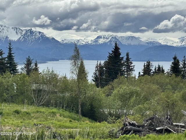 53480 E End Rd, Homer, AK 99603