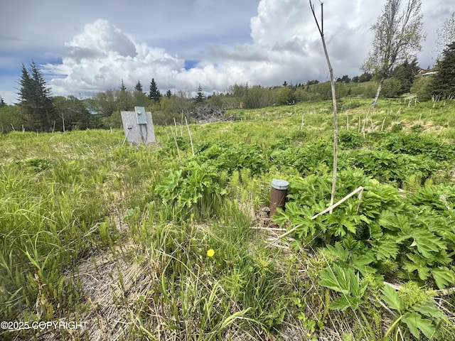 53480 E End Rd, Homer, AK 99603