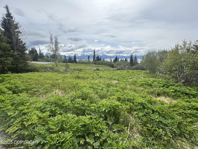 53480 E End Rd, Homer, AK 99603