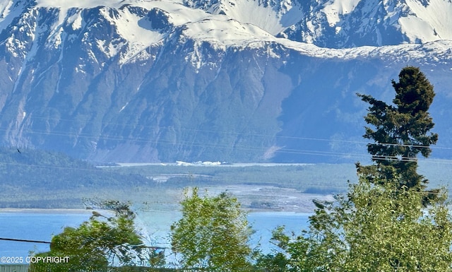 53480 E End Rd, Homer, AK 99603