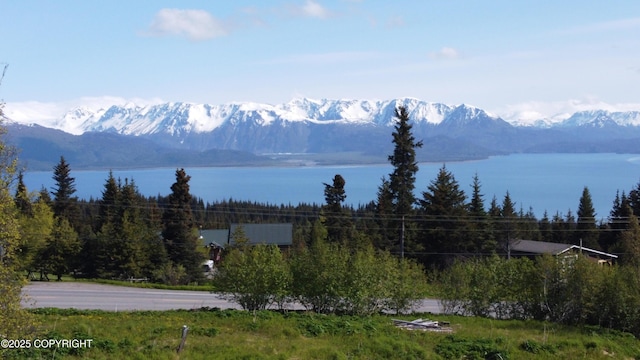 53480 E End Rd, Homer, AK 99603