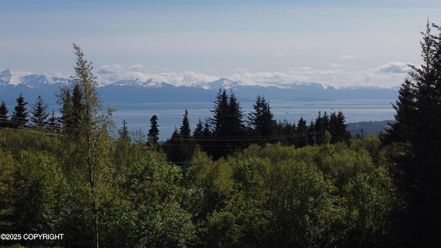 53480 E End Rd, Homer, AK 99603