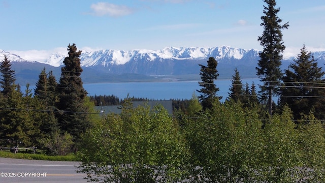 53480 E End Rd, Homer, AK 99603