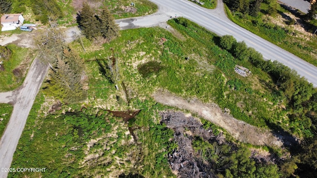 53480 E End Rd, Homer, AK 99603