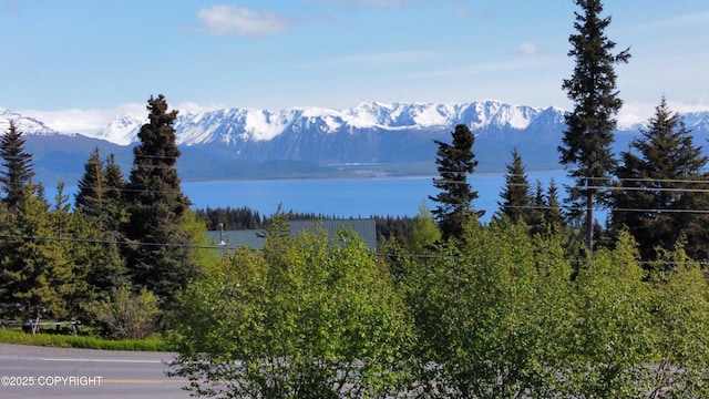 53480 E End Rd, Homer, AK 99603