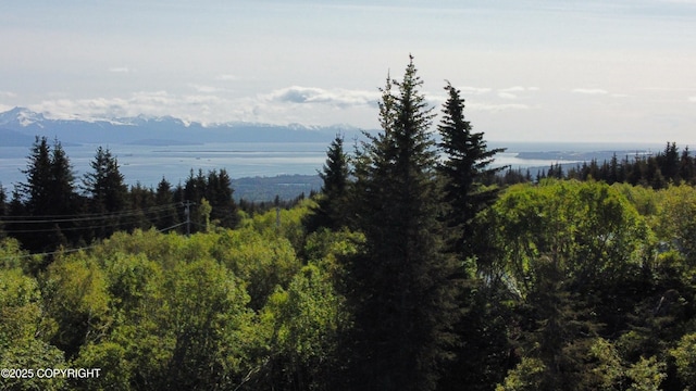 53480 E End Rd, Homer, AK 99603