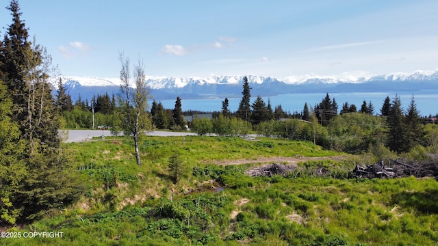 53480 E End Rd, Homer, AK 99603