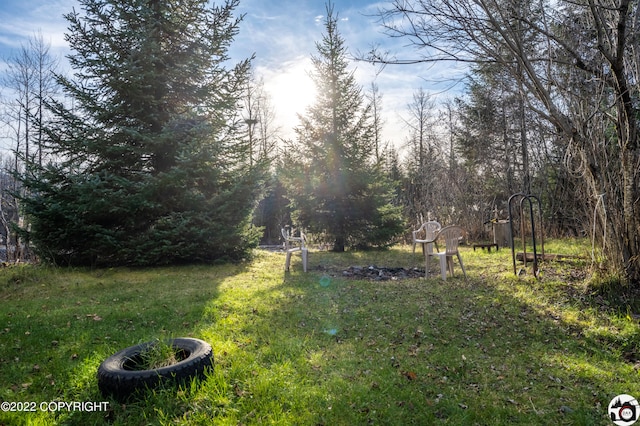 12230 Nautical Ave, Seward, AK 99664 - view of green lawn