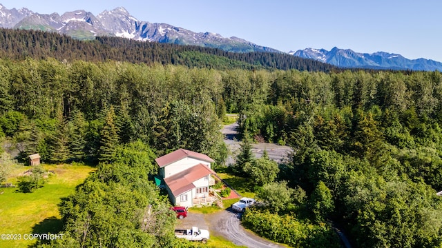 12230 Nautical Ave, Seward, AK 99664 - bird's eye view of a heavily wooded area and mountains