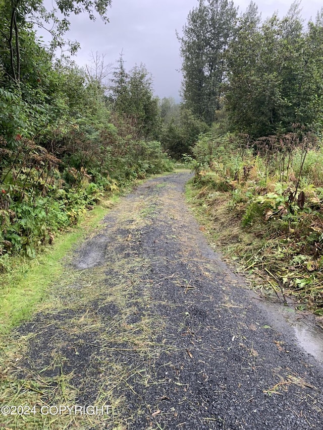 12230 Nautical Ave, Seward, AK 99664 - view of road featuring a view of trees