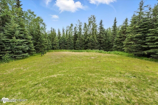 5968 Kenai Spur Highway, Kenai, AK 99611 - view of green lawn with a view of trees