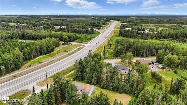 5968 Kenai Spur Highway, Kenai, AK 99611 - view of property location featuring a major roadway and a forest