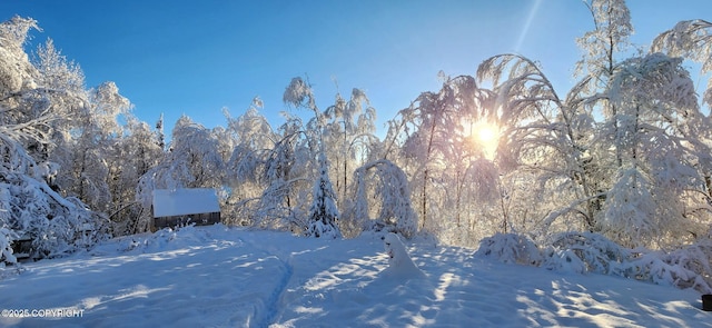 3800 E Birch View Dr, Wasilla, AK 99654 - view of snowy yard