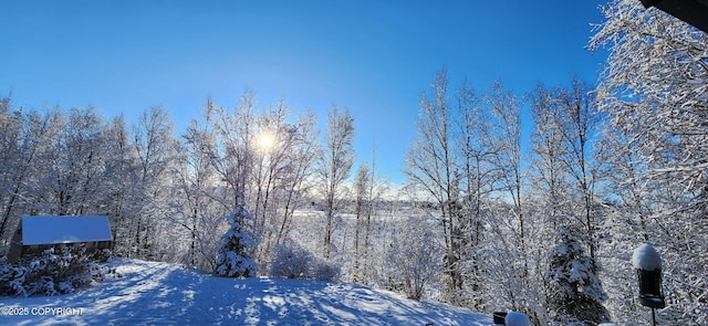 3800 E Birch View Dr, Wasilla, AK 99654 - view of yard layered in snow