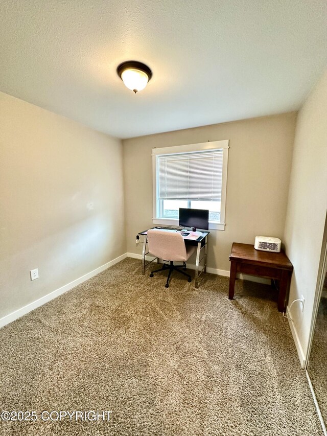 810 Auk St, Kenai, AK 99611 - photo 13