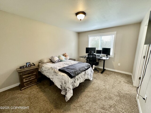810 Auk St, Kenai, AK 99611 - photo 20