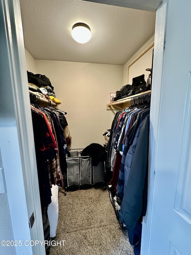 810 Auk St, Kenai, AK 99611 - photo 22