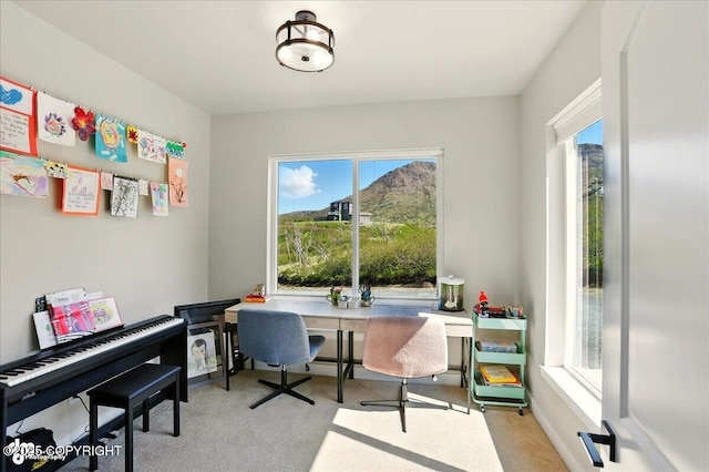 10380 Honey Bear Ln, Anchorage, AK 99516 - office featuring plenty of natural light and light colored carpet