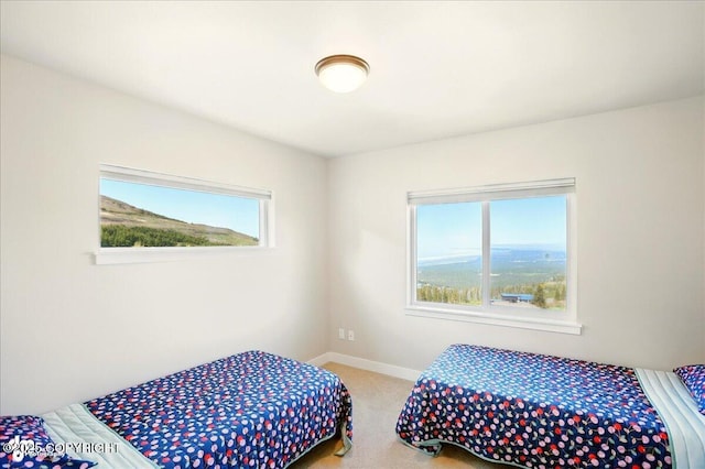 10380 Honey Bear Ln, Anchorage, AK 99516 - bedroom featuring multiple windows and carpet flooring