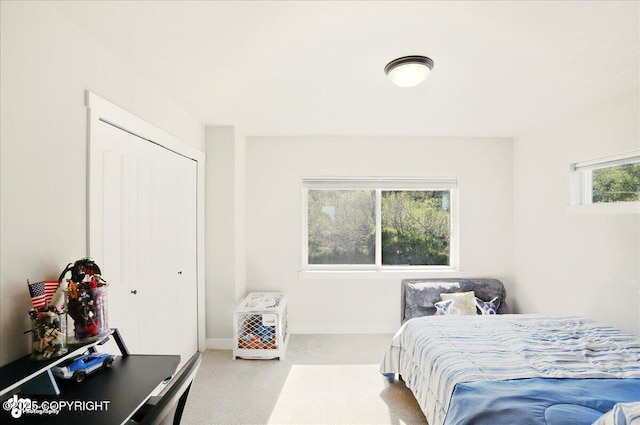 10380 Honey Bear Ln, Anchorage, AK 99516 - bedroom featuring carpet floors and a closet