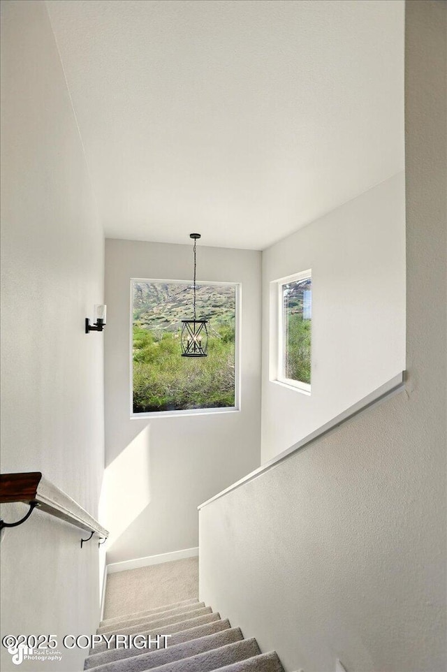 10380 Honey Bear Ln, Anchorage, AK 99516 - stairs featuring baseboards and carpet floors