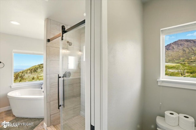 10380 Honey Bear Ln, Anchorage, AK 99516 - bathroom with a freestanding tub, a shower stall, and plenty of natural light