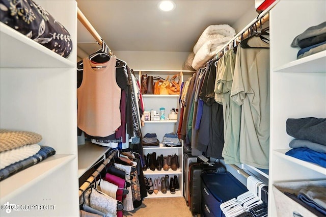 10380 Honey Bear Ln, Anchorage, AK 99516 - walk in closet featuring carpet flooring