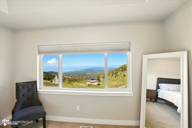 10380 Honey Bear Ln, Anchorage, AK 99516 - living area featuring carpet and baseboards