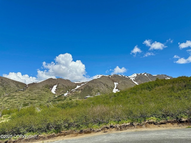10380 Honey Bear Ln, Anchorage, AK 99516 - mountain view