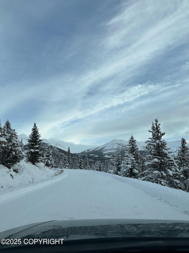 10380 Honey Bear Ln, Anchorage, AK 99516 - view of mountain background