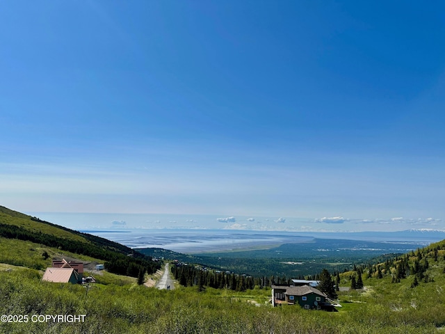10380 Honey Bear Ln, Anchorage, AK 99516 - view of mountain background featuring a heavily wooded area