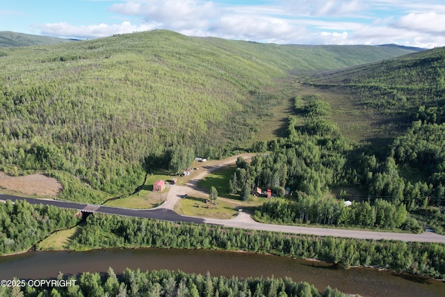 8721 Steese Hwy, Fairbanks, AK 99712 - photo 10