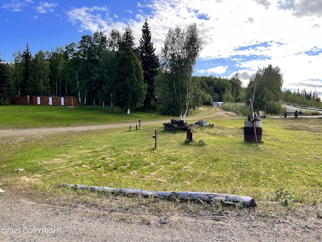 8721 Steese Hwy, Fairbanks, AK 99712 - photo 28