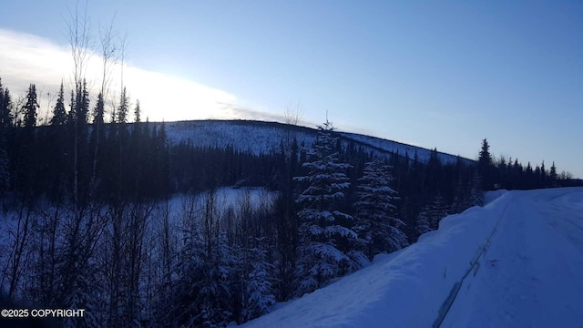 8721 Steese Hwy, Fairbanks, AK 99712 - photo 37