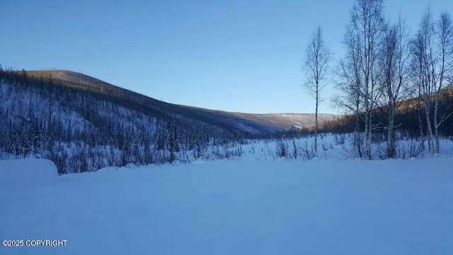 8721 Steese Hwy, Fairbanks, AK 99712 - photo 38