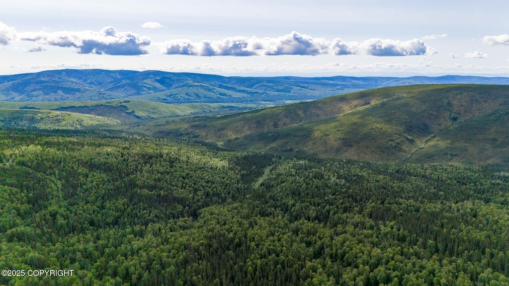 L14B3 Grand Teton Rd, Fairbanks, AK 99709 - photo 1