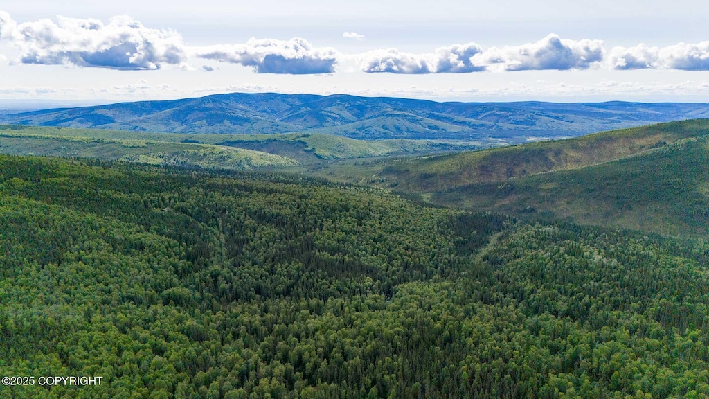 L14B3 Grand Teton Rd, Fairbanks, AK 99709 - photo 2