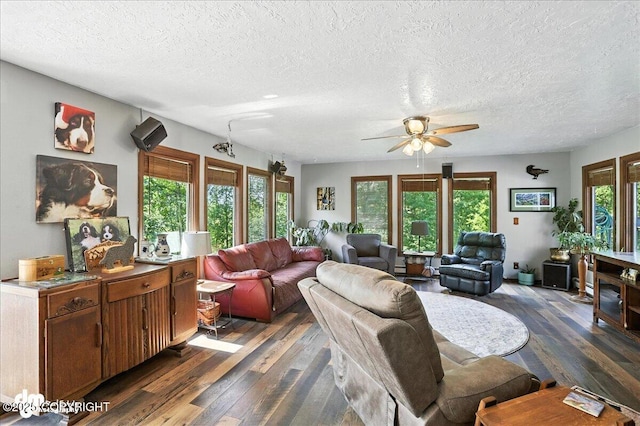 19360 Chugach Park Dr, Chugiak, AK 99567 - living room featuring dark wood-style floors, ceiling fan, and a textured ceiling