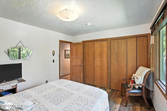 19360 Chugach Park Dr, Chugiak, AK 99567 - bedroom featuring wood finished floors, a textured ceiling, and multiple closets