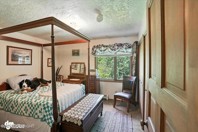 19360 Chugach Park Dr, Chugiak, AK 99567 - carpeted bedroom with a textured ceiling and baseboard heating