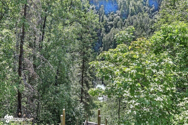 19360 Chugach Park Dr, Chugiak, AK 99567 - view of tree filled area
