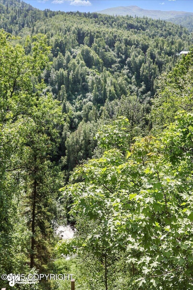 19360 Chugach Park Dr, Chugiak, AK 99567 - view of mountain backdrop featuring a heavily wooded area