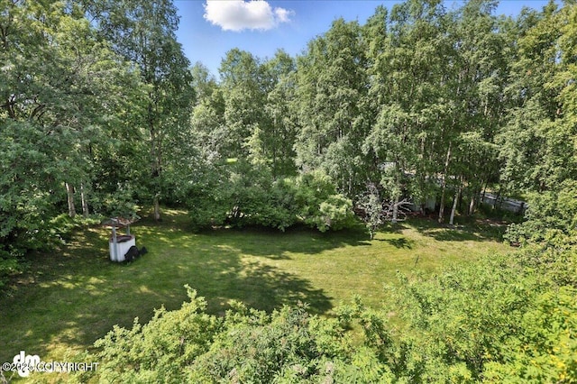 19360 Chugach Park Dr, Chugiak, AK 99567 - view of grassy yard featuring a wooded view