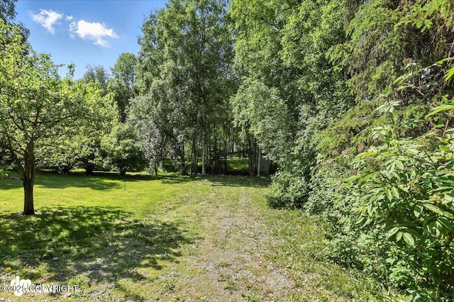 19360 Chugach Park Dr, Chugiak, AK 99567 - view of green lawn featuring a wooded view